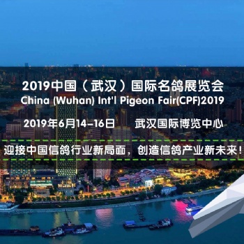 2019中國（武漢）國際名鴿展覽會即將于6月14-16日舉辦