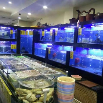 海珠土建海鮮缸貝類池水產店飯店超市海水蝦三層玻璃魚缸商用魚池制冷