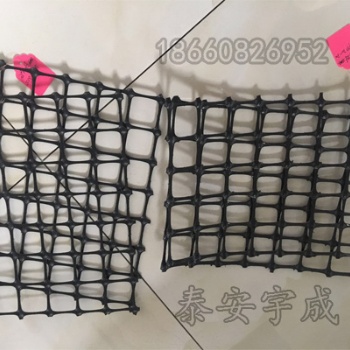 礦井用JDPP30-30MS雙向拉伸塑料網假頂抗靜電