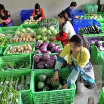 企石食堂承包、蔬菜配送公司、團體餐配送