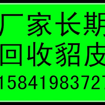 大慶收貂皮的大慶回收貂的大慶貂皮回收的