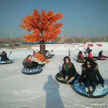 雪地轉轉 的使用方法和結構