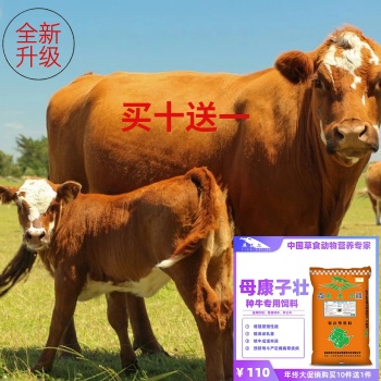 繁殖母牛飼料母牛泌乳飼料牛預混料**飼料英飼料提高繁殖率