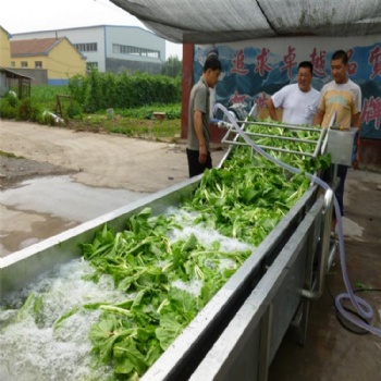 果蔬清洗機(jī)生菜清洗機(jī) 諸城俞洋廠家