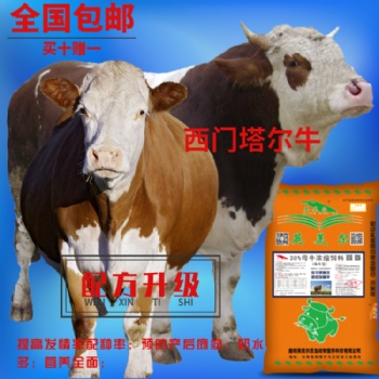 奶牛飼料_提高產(chǎn)奶年限_有效提高母牛健康_云南好用的牛飼料