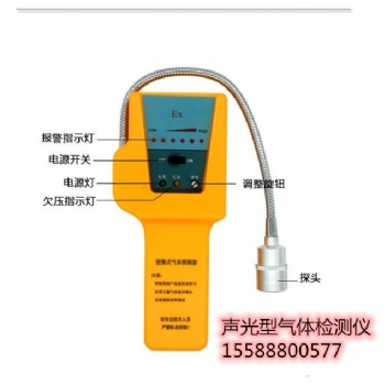 SQJ-IA便攜式氣體檢測儀（聲光型）