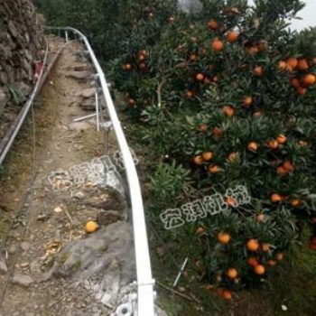 長(zhǎng)軌道山地運(yùn)輸車 廣西山地單軌運(yùn)輸車 山地果園爬坡運(yùn)輸車