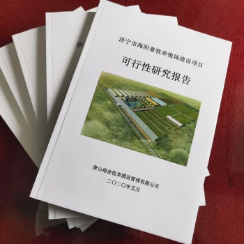 專業代寫可行性研究報告、穩定風險評估、商業計劃書