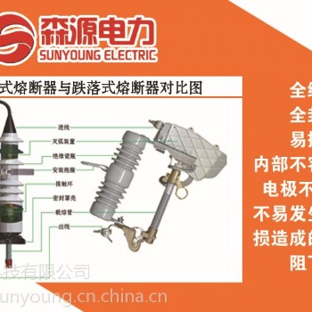 廠家直供 江西森源PRW-12戶外噴射式全絕緣熔斷器