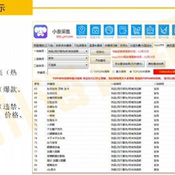 拼多多無貨源店群采集軟件,精細化運營一對一指導軟件貼牌