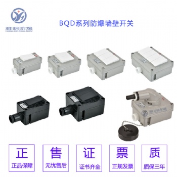 SW-10/II防爆墻壁開關 雙控防爆雙聯開關250V