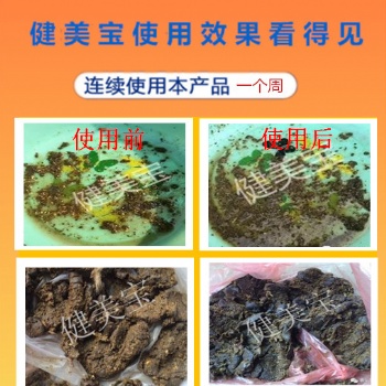 牛羊養殖技術|牛羊催肥過料損失，一算嚇一跳