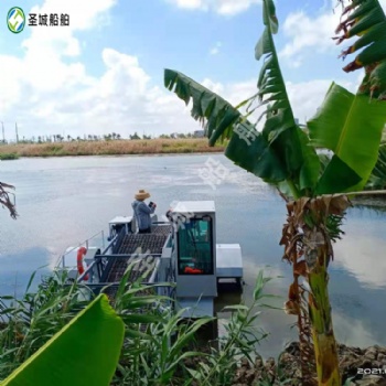 湖底水花生菖蒲水草船全自動(dòng)柴油機(jī)割草船 小型湖泊撈草收集船