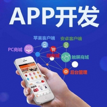 批發定制APP系統開發