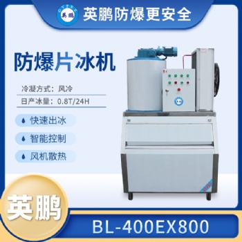 安徽化工降溫防爆片冰機BL-400EX800