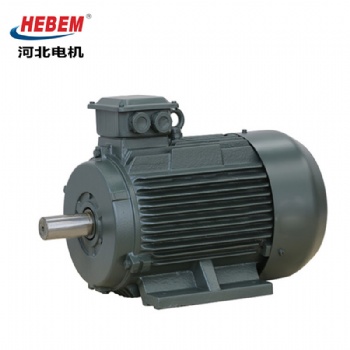 HEBEM河北電機股份有限公司YE3-90S-6電機 0.75KW 380V冠生電機三相異步電動機