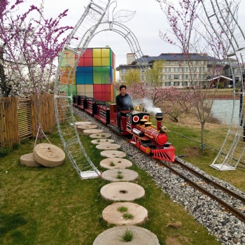 三川迷你軌道花海小火車